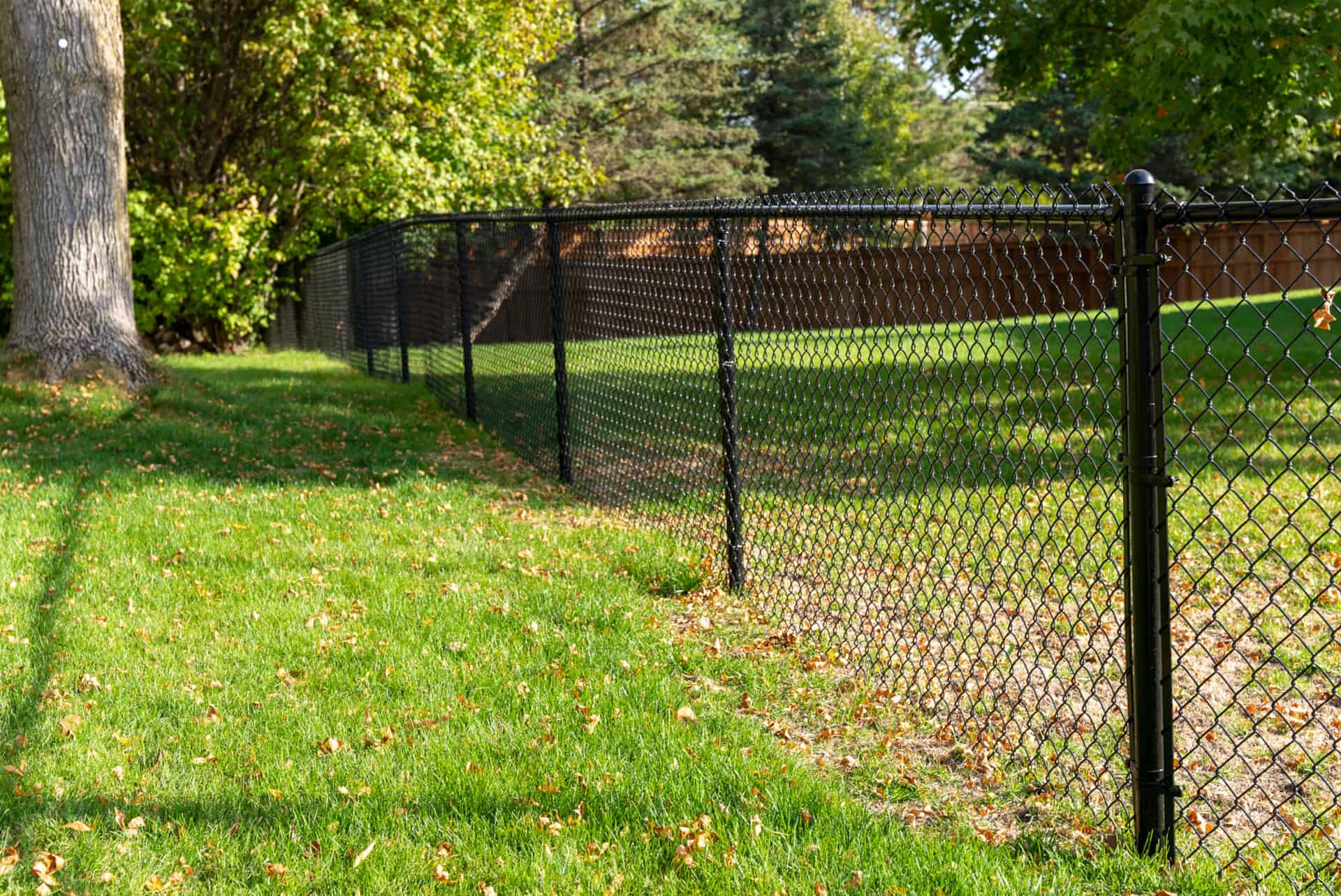 Chain Link fence